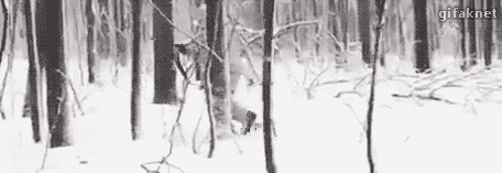 9388b4573ac842f7041bfe04a16e7406