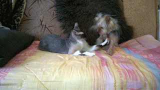 6b76f7829509c610e904dbd8f7a81090