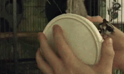 1369449627-389411fbba271daa28ddf73f92cdc71d