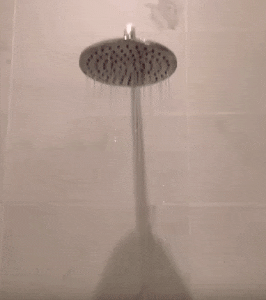 Собака-кайфоняка