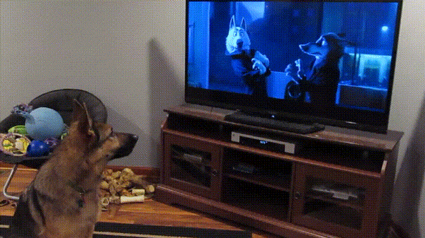 Собака-подвывака