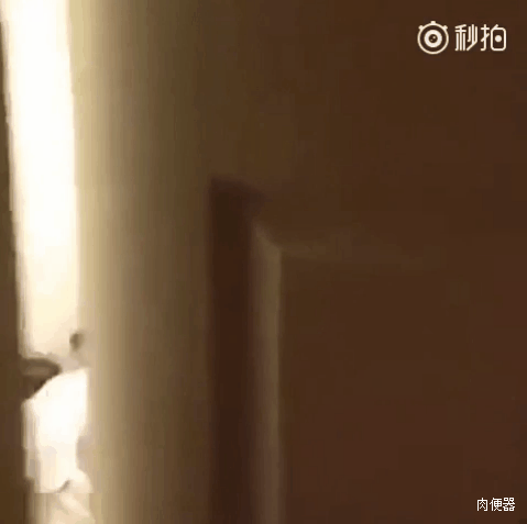 -какой-то-пиздец-NSFW-3553652