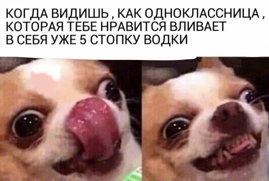 14682453846170