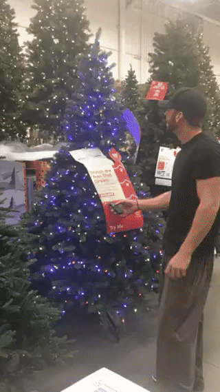 tree