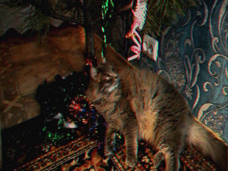 РёР·РјРµРЅРµРЅРЅРѕРµ РІРёРґРµРѕ_156-587