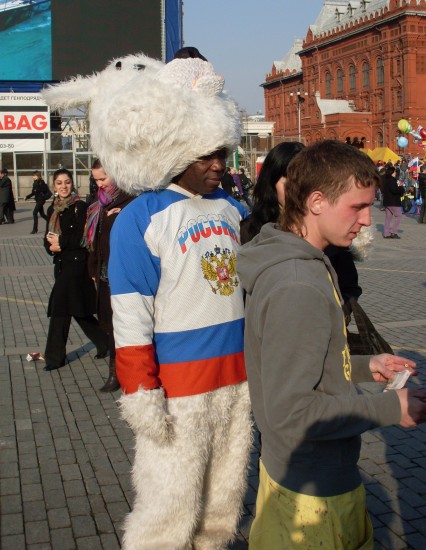 белый медведь