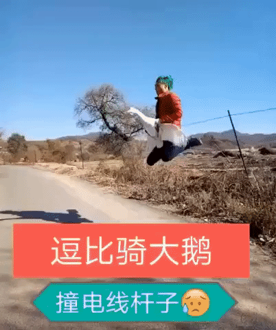 1475062352-f22616a9761e38ebc726b13ade0e4d5b