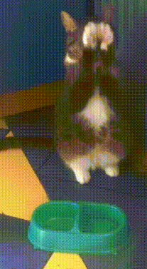 f039d85a56f5e0fc81c90739089