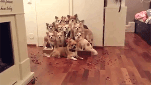 10640006b44a5c2056dd