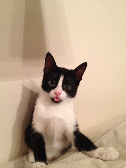 Маленькая Евонька