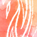 Av5
