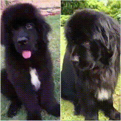 8d9031e47b8e48bb1591bedbe75