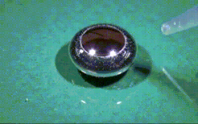 1485354250124810477