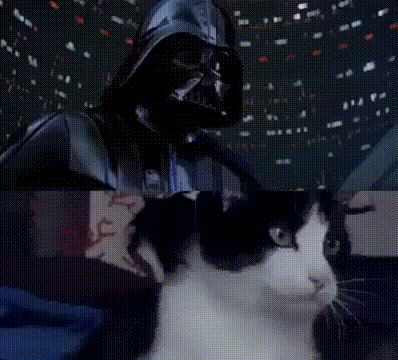 https__vk_com_ebankotop