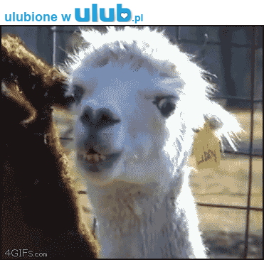 Отклик на взгляд