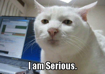 24386-012911-df729725604a2cfc6c90807f0a559c14