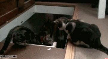 1 (3)