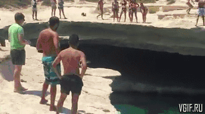 Собака ныряет в воду