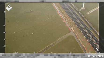 RemarkableFairJohndory-size_restricted