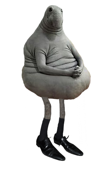 ноге