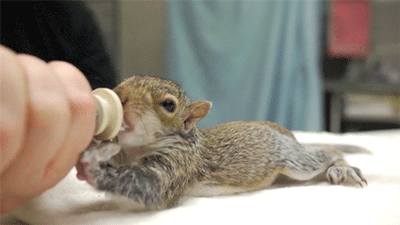 0_15a9ef_2d59c322_orig