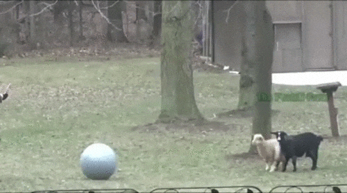 Впали в ступор