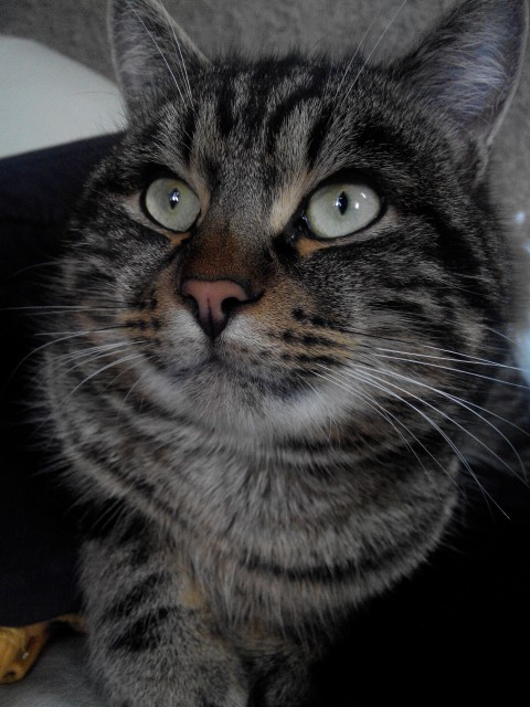 IMG_20161228_152230_yapfiles.ru