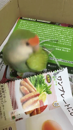 Перфорирование