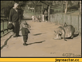 -кенгуру-песочница-165953