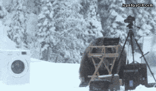 gifkimedved633207_yapfiles.ru