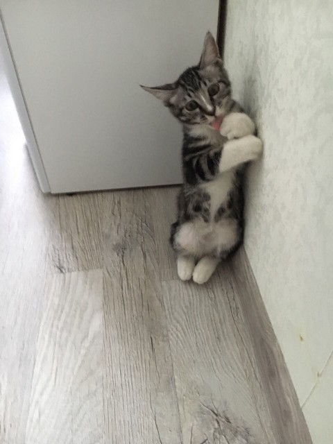 image-0-02-05-f271333994358f4650c237e90ab4b536919e8c6279b2686009e3b22968f4cc6b-V