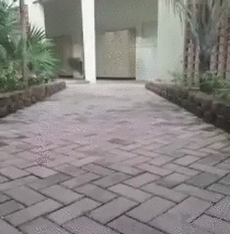 d89c1a23e57c1b2d567c5aa2eeb0f397