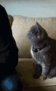 Про меня не забывай!