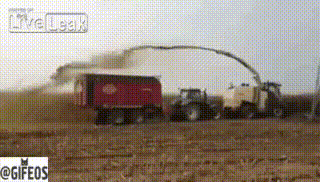 gifeos023.gif