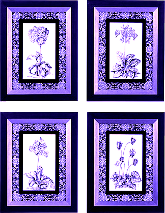 quadpicbw_yapfiles.ru7