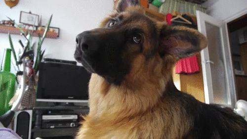 59418532fe6ca9833ae08e54cd0