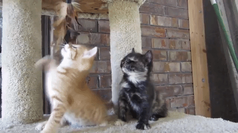 Продолжай, интересно