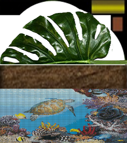 777