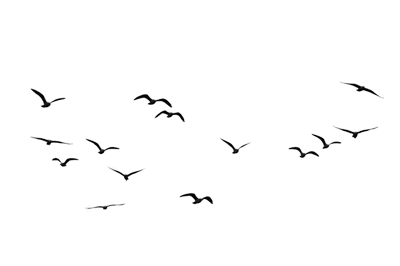 60