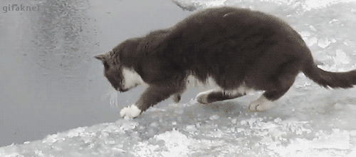 tumblr_oloef5paeq1u9o3mxo1_500