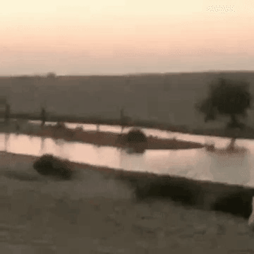 4c0b9671-e453-4452-a085-73e8c42283e5