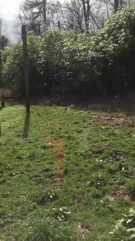 ezgif.com-video-to-gif (6)