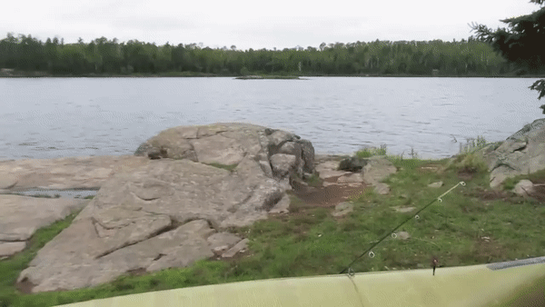 ezgif.com-video-to-gif (16)