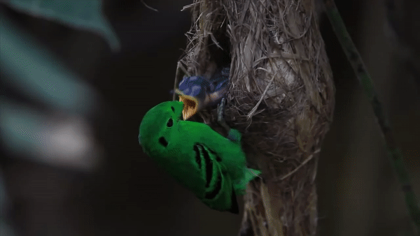 ezgif.com-video-to-gif (20)