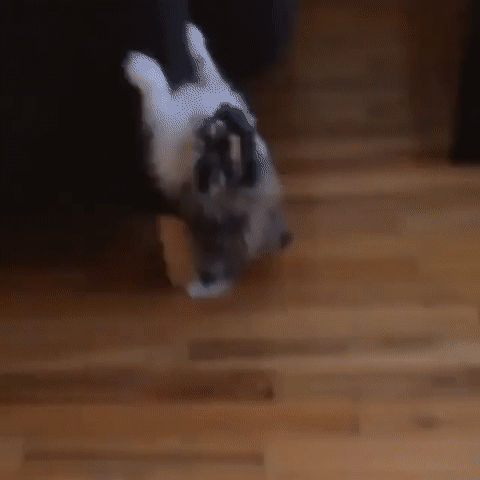 b257f5c74811aeb2928c6062edaa661c7292801c7a0a0faf452481fea748dfa0_1