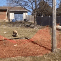 daily-morning-awesomeness-35-photos-218