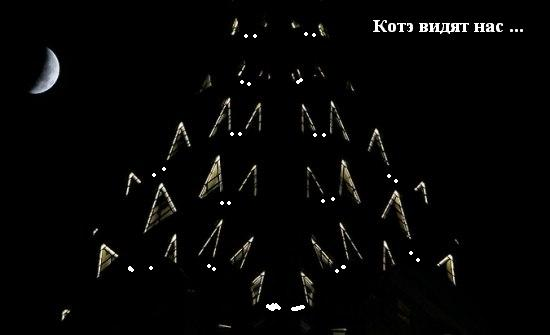 post-3-129300334224400000