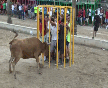 zhivnostbykrazyaryonnyi1044386_yapfiles.ru