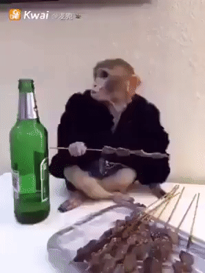 Shashlyk_i_pivo-eto_sila