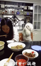 Настойчивость